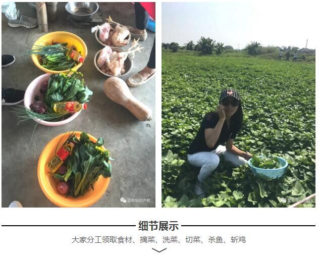 QQ图片20171120163134.jpg